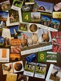 Montessori Farm Printable Pack
