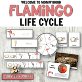 Montessori Flamingo Life Cycle Pack in cursive or print fo