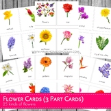 Montessori Flower 3 Part Cards