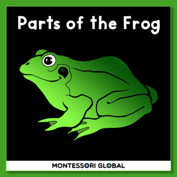 Preview of Montessori - Frog | Montessori Nomenclature Cards and Boom Cards™