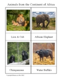 Montessori Geography-African Continent -Animals