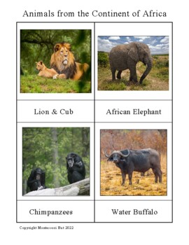 Preview of Montessori Geography-African Continent -Animals