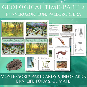 Preview of Montessori Geological Time Work Part 2 / Phanerozoic Eon / Paleozoic Era