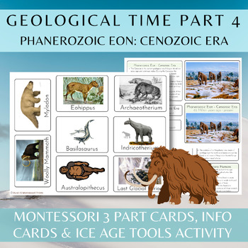 Preview of Montessori Geological Time Work Part 4 / Phanerozoic Eon / Cenozoic Era