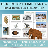 Montessori Geological Time Work Part 4 / Phanerozoic Eon /