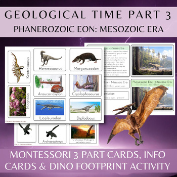 Preview of Montessori Geological Time Work Part 3 / Phanerozoic Eon / Mesozoic Era