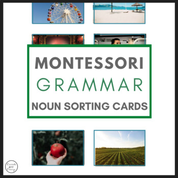 Preview of Montessori Grammar Noun Sorting Cards with REAL IMAGES