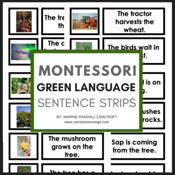 Preview of Montessori Green Series - Sentence Reading Strips