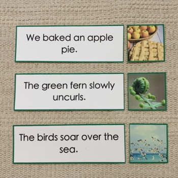 24 strips The Green Series Matching Sentences Strips Montessori Deluxe Set 