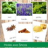 Herbs and Spices Montessori 3 Part Cards