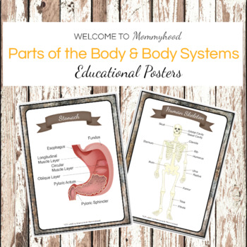 Preview of Montessori Human Body Printables: body systems and organs posters