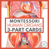 Human Organ Montessori 3 Part Cards with Mini Book & Word Search
