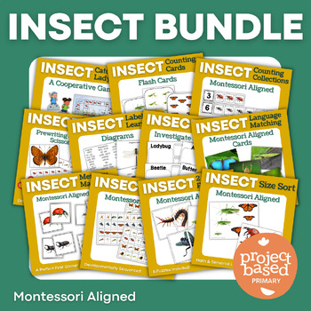 Preview of Insect Investigation Bundle
