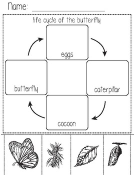 Montessori - Insects by Learning with MariaP | TPT