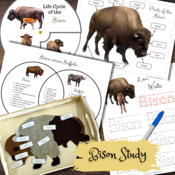 Preview of Montessori-Inspired Bison Buffalo Life Cycle Comparison Anatomy Tracing