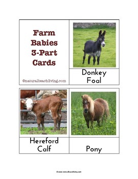 Preview of Montessori Inspired Farm Animal Babies 3 Part Cards