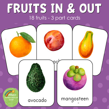 Montessori Common Fruits and Vegetables 3 Parts Cards 