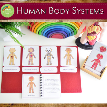 Preview of Human Body Systems Pack (Montessori Inspired)