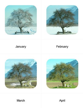 Preview of Montessori Inspired Months of the Year Tree Timeline