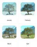 Montessori Inspired Months of the Year Tree Timeline