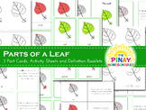 Montessori Inspired Parts of a Leaf