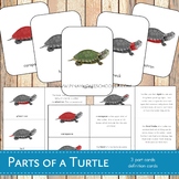Parts of a Turtle Montessori 3 Part Cards and Definitions