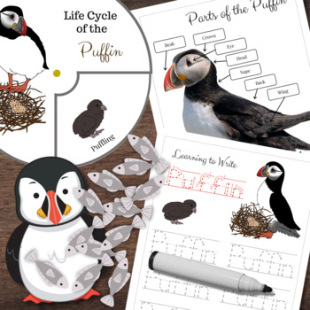 Preview of Montessori Inspired Puffin Mini-Study Life Cycle, Parts of, Tracing & Counting