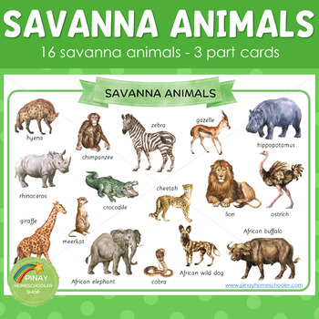 Savannah Animals Montessori 3 Part Cards by Pinay Homeschooler Shop