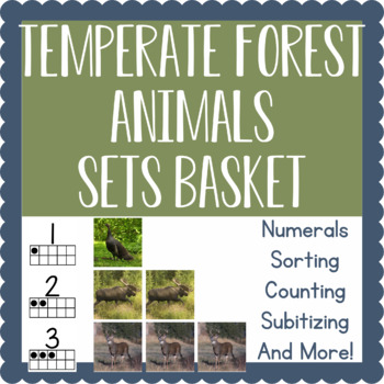 Preview of Montessori-Inspired Sets Basket Activity: North America Temperate Forest Animals