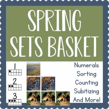 Preview of Montessori-Inspired Sets Basket Activity: Spring