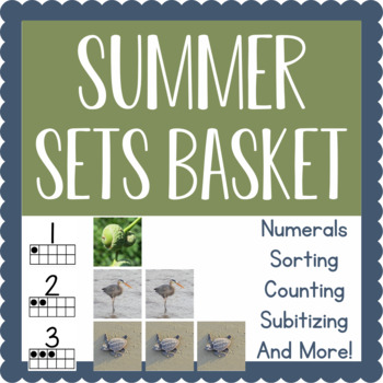 Preview of Montessori-Inspired Sets Basket Activity: Summer