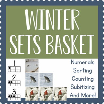 Preview of Montessori-Inspired Sets Basket Activity: Winter incl. Subnivean zone
