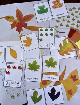 Preview of Montessori-Inspired Spring & Fall Leaf Bundle