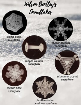 Preview of Montessori-Inspired Wilson Bentley's Snowflakes Pack