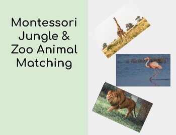 Preview of Montessori Jungle & Zoo Animal Matching