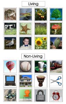 Preview of Montessori LIVING and NON-LIVING Category Sorting Cards, Science, Vocabulary