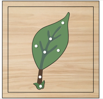 Preview of Montessori Digital Leaf Puzzle
