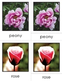 Montessori Learning: Spring Flowers Nomenclature Cards