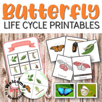 MEGA Life Cycle Bundle for Montessori Classrooms or Science Centers