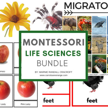 Preview of Montessori Preschool Kindergarten Life Sciences Activities Pack