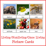 Montessori Living - Nonliving - Once Living Sorting Cards