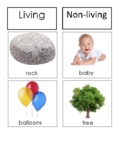 Montessori Living and Non-Living Sorting Cards