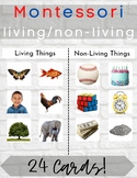 Montessori Living vs. Non Living Sorting Cards