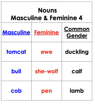 Montessori Lower El - Nouns: Masculine & Feminine, Animal Homes, Young ...