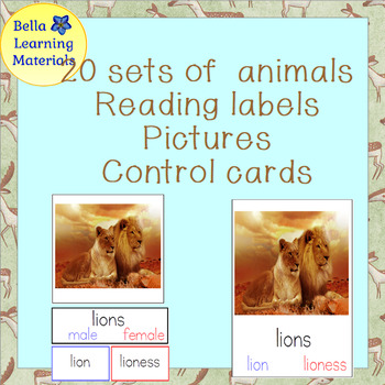 Montessori Male & Female Animals by Bella Learning Materials | TPT