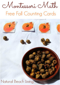 Preview of Montessori Math Fall Pumpkin Counting Cards