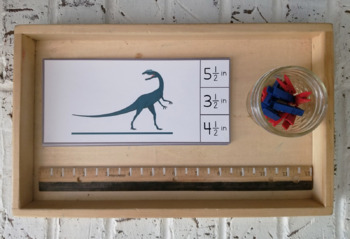 Preview of Montessori Measurement Clip Cards - measuring dinosaurs to half inches