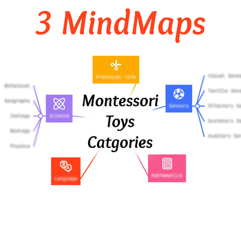 Preview of Montessori MindMaps (Principles, Ages, Toys)