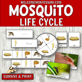 Montessori Mosquito Life Cycle Unit: Engaging Activities f