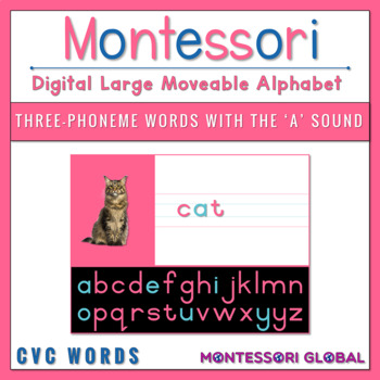 Preview of Montessori Moveable Alphabet | CVC Words | A Sounds | Phonetic